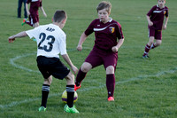 Vipers vs Colonie