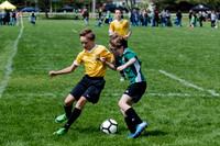 Semifinals